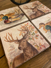 Load image into Gallery viewer, Woodland Wildlife Coasters
