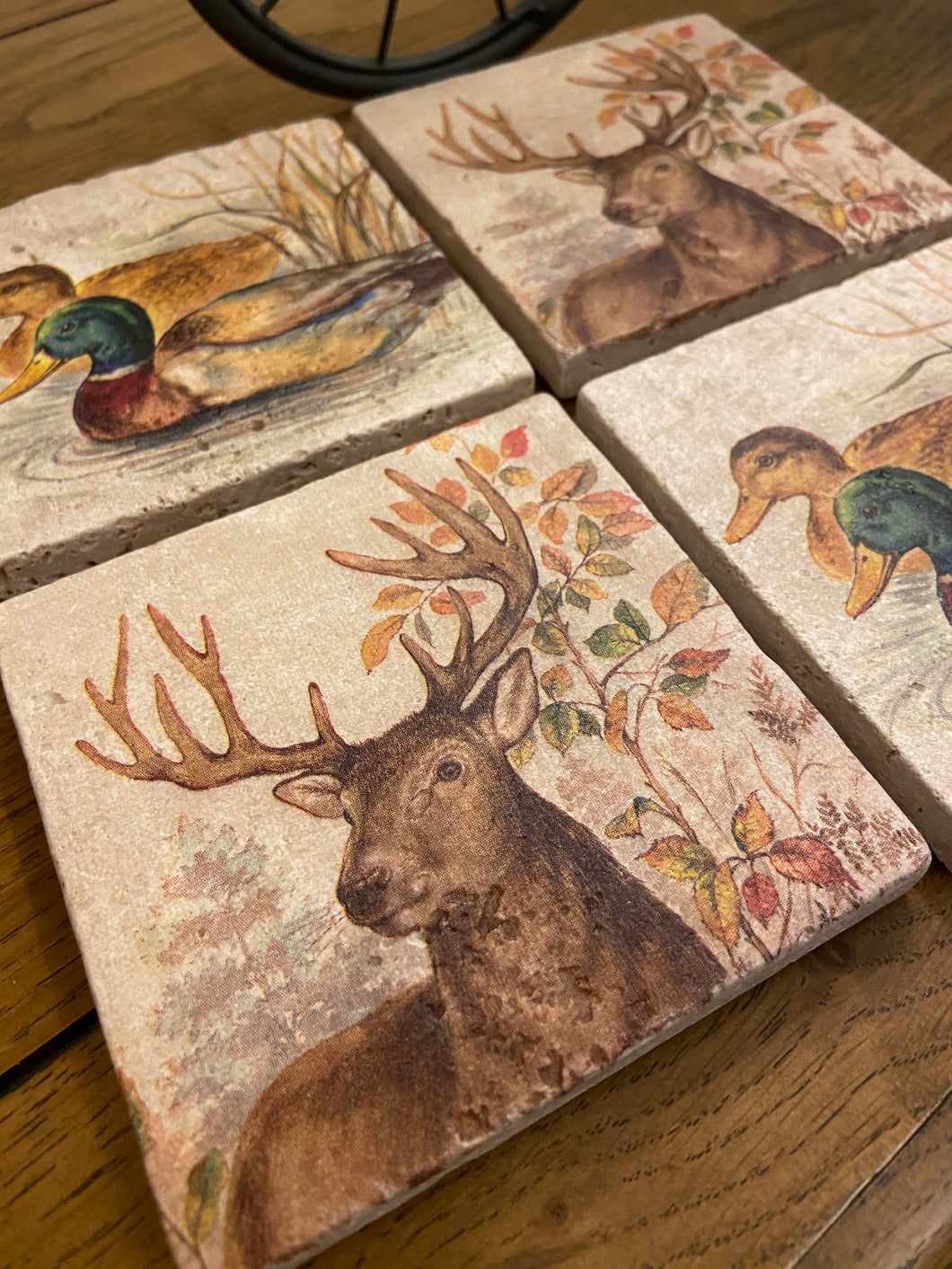 Woodland Wildlife Coasters