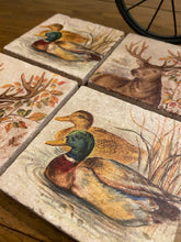 Load image into Gallery viewer, Woodland Wildlife Coasters
